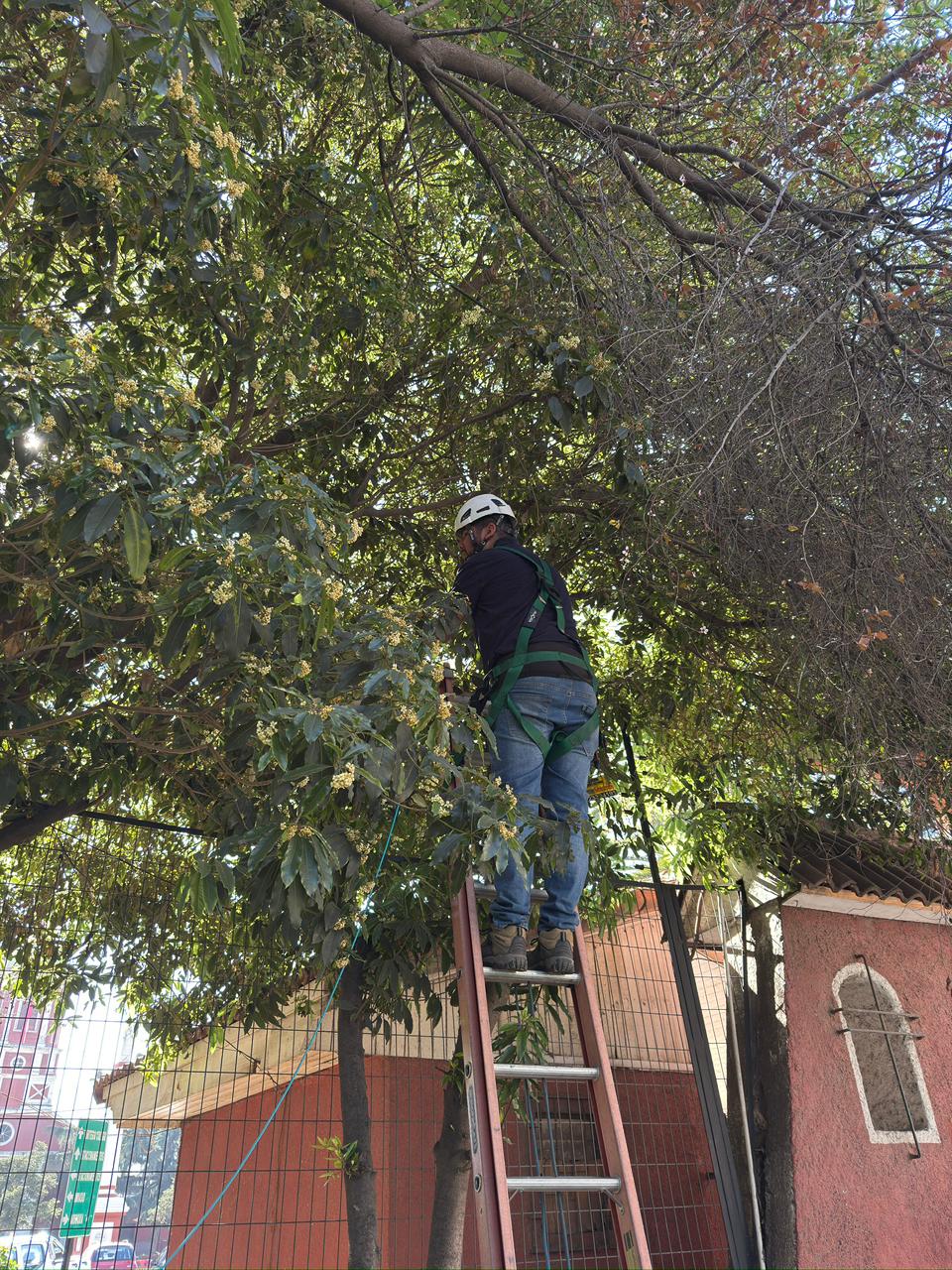Técnico instalando línea de red en el área exterior.